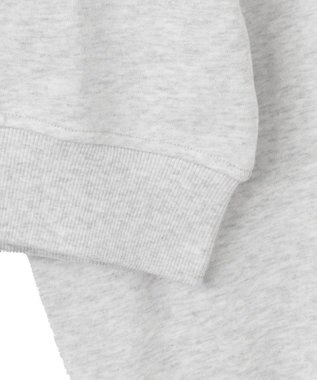 WEGO ロゴジップショートパーカー 杢グレー