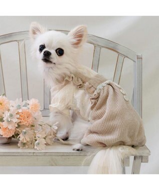 PET PARADISE ペットパラダイス ニット風パンツつなぎ 小型犬 ベージュ