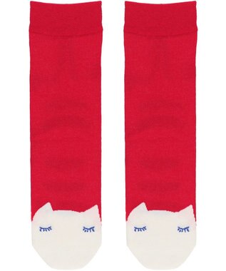 tsumori chisato SLEEP ツモリチサト ソックス 22～24cm レディース UEY500/ワコール