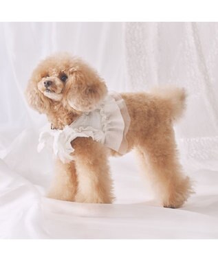PET PARADISE cherircouture フリフリハーネス 《ホワイト》 小型犬 ４Ｓ/３Ｓ ホワイト