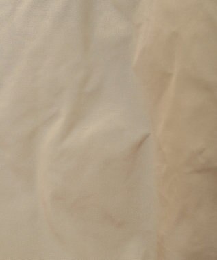 AMERICAN HOLIC 撥水加工ダウンコート Beige