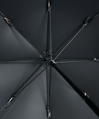 AURORA 【 Beaurance （ビューランス）】プリント額縁柄　晴雨兼用傘（長傘） ライトベージュ