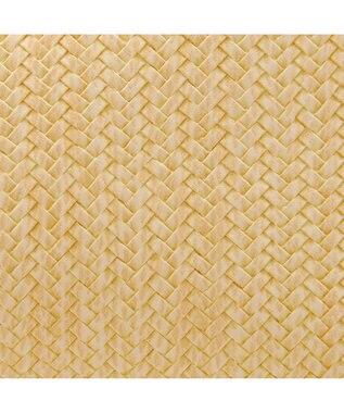 MioFIRANO ウーブンルックハンドバッグ 2WAY パスケース付き　FIRANO フィラノ BEIGE