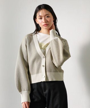 Green Parks ・ＥＬＥＮＣＡＲＥ　ＤＵＥ　ラメＶネックカーディガン Gray Beige