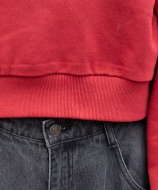 WEGO ロゴショートプルパーカー レッド