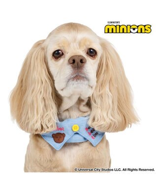 PET PARADISE ミニオン デニム襟付き首輪 ＳＭ 中型犬