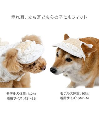 PET PARADISE ペットパラダイス フリル キャップ ＳＭ～Ｍ/Ｌ ホワイト×ベージュ