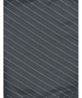 WACOAL MEN ブリーフ フロント立体設計 快適キープ 適度なフィット感 前閉じ ボーダー 下着 GF2401 /ブロス ブラック