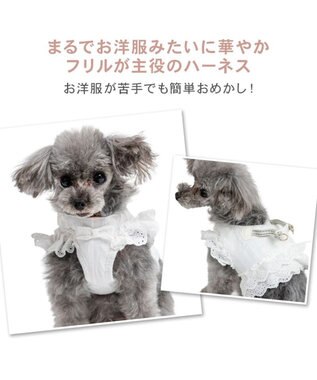 PET PARADISE ペットパラダイス コットンフリル ベストハーネス Ｓ ホワイト