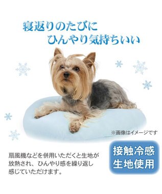 PET PARADISE ディズニー ドナルドダック 浮き輪 カドラー Ｍ 0