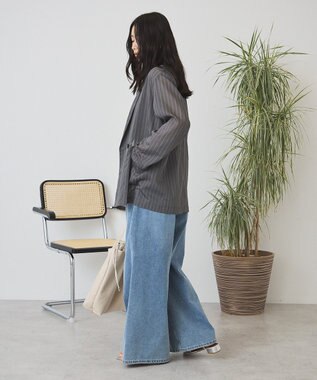 AMERICAN HOLIC シアーストライプジャケット Charcoal Gray