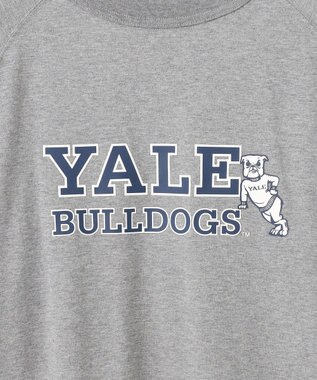 J.PRESS YORK STREET 【UNISEX】YALEロゴTEEシャツ ライトグレー系
