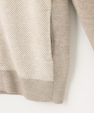 JOSEPH ABBOUD 【キングサイズ・イタリア糸使用/洗える】メリノブレンドモール ジップ ニット ブルゾン ベージュ系