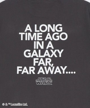 WEGO 【ディスニー/マーベル/スター・ウォーズ/ユニセックス着用ITEM/SMLサイズ展開】キャラクターズグラフィックT2（SS） 柄9