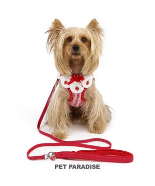 PET PARADISE ペットパラダイス ハーネス＆リード  スカラップカラー《いちご柄 》 Ｓ 小型犬 いちご柄