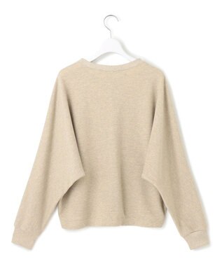 23区 【洗える】シャイニーコットンテリー ドルマン スウェット ベージュ系