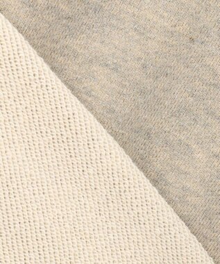 23区 【洗える】シャイニーコットンテリー ドルマン スウェット ベージュ系