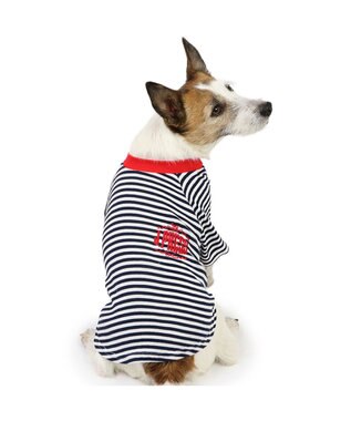 PET PARADISE J.PRESS ソフトボーダー Tシャツ 小型犬 ブラック