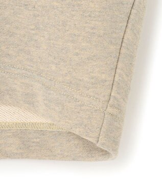 23区 【洗える】シャイニーコットンテリー ドルマン スウェット ベージュ系