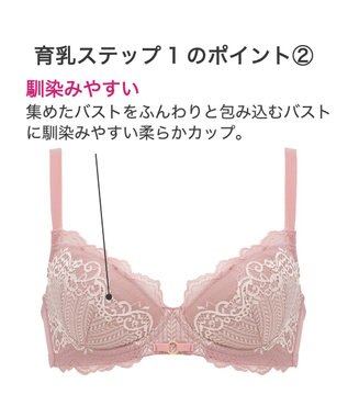 BRADELIS New York 【BRADELIS New York】ジャスミンステップ１ブラ23S1 しっかりバストを集めてナチュラルなシルエットを作る補整ブラ ブルー