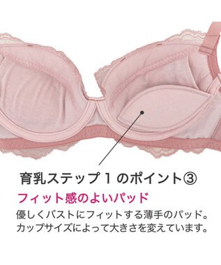 BRADELIS New York 【BRADELIS New York】ジャスミンステップ１ブラ23S1 しっかりバストを集めてナチュラルなシルエットを作る補整ブラ ブルー