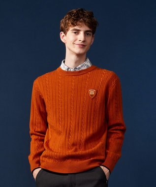 23区GOLF 【MEN】【ウォッシャブル】ストレッチ カラーニット キャメル系