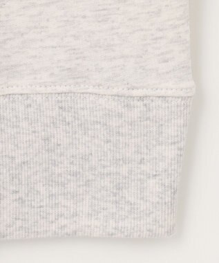 ANY 【UVケア/洗濯機可】ロゴスウェットプルオーバー グレー