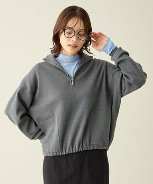 ANY L スウェットライクハーフジップニット グレー