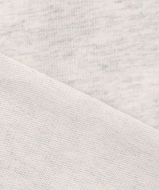 ANY L 【UVケア/洗濯機可】ロゴスウェットプルオーバー グレー