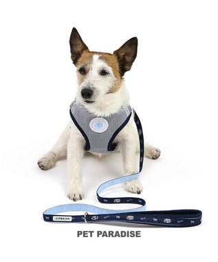 PET PARADISE J.PRESS  ギンガムチェック  ハーネス&リード  ＳＳ 小型犬 ネイビー