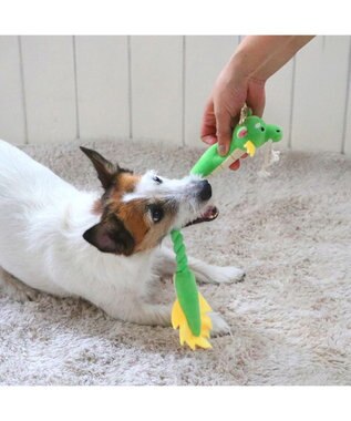 PET PARADISE ロープトイ 干支おもちゃ 辰 緑