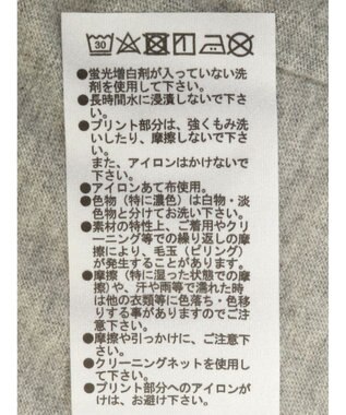 Green Parks ＥＧＯＩＳＴ　肩開きロゴ長袖プルオーバー Gray