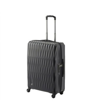 ACE BAGS & LUGGAGE Proteca トリアクシス3 スーツケース 72L 02493 プロテカ ガンメタリック