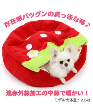 犬 ベッド おしゃれ 寝袋 カドラー 50cm いちご 丸型 赤 犬 猫 ベッド 小型犬 かわいい ふわふわ ネット限定 Pet Paradise ファッション通販 公式通販 オンワード クローゼット