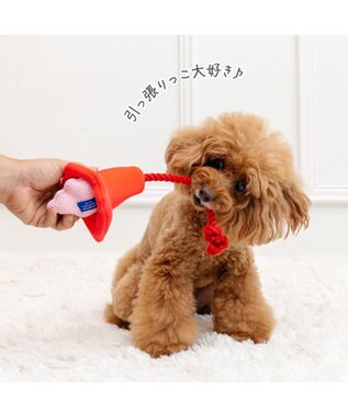 PET PARADISE ディズニー トイ・ストーリー ハム コーントイ レッド