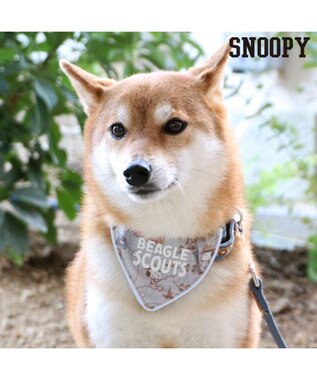 PET PARADISE スヌーピー 首輪 ビーグルスカウト柄 反射付き【ＳＭ】 中型犬