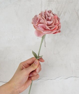 POLS 母の日ギフトセット(Mサイズ) オレンジ