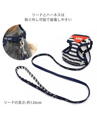 PET PARADISE Lee ハーネス＆リード 《ボーダー》 ３Ｓ 小型犬 ネイビー