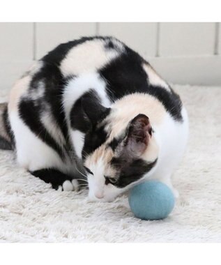 PET PARADISE ペットパラダイス 猫 羊毛 ボール 【単品】 ミント