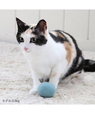 PET PARADISE ペットパラダイス 猫 羊毛 ボール 【単品】 ミント