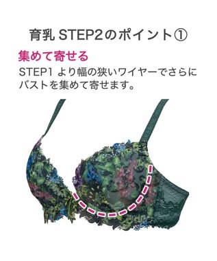 BRADELIS New York 【BRADELIS New York】ナオミステップ２ブラ23S1 バストを寄せて丸い女性らしい谷間をつくる グリーン