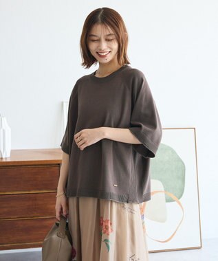 Green Parks トレーナー風ニットプルオーバー Brown