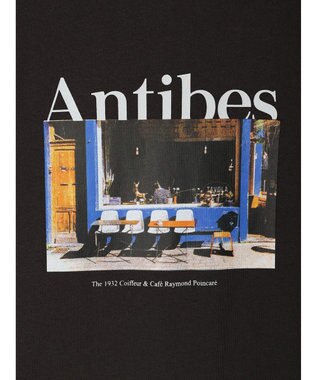 Green Parks フォトボックスＴシャツ Gray