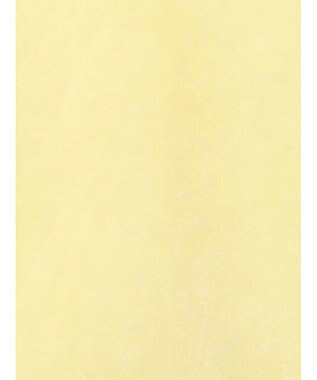 Te chichi 【Atelier Bonheur】キャットヤーンVネックカーディガン《2025winter catalog item》 イエロー