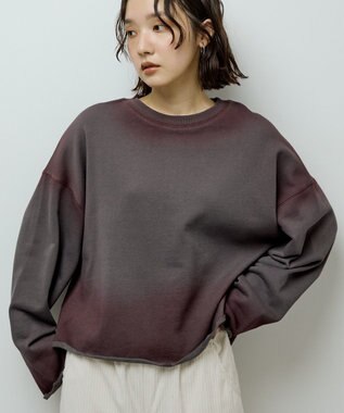 Green Parks ・SUGAR SPOON エッジスプレースウェット Charcoal Gray