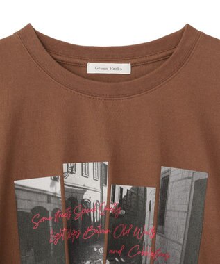 Green Parks アソート柄ＢｉｇサイズＴシャツ D