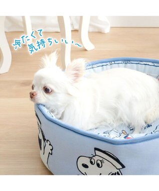 PET PARADISE スヌーピー クールカップ 《ブラザーズ》 Ｓ ライトブルー