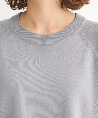 Green Parks トレーナー風ニットプルオーバー Gray