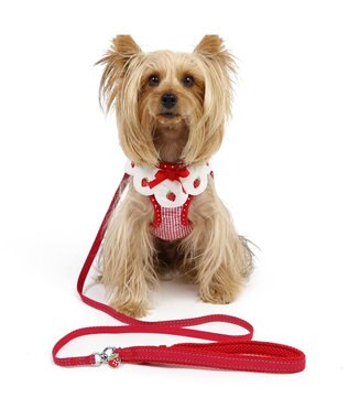 PET PARADISE ペットパラダイス ハーネス＆リード  スカラップカラー《いちご柄 》 Ｓ 小型犬 いちご柄