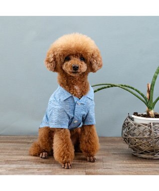 PET PARADISE J.PRESS 杢 ウェーブシャツ 《水色》 小型犬 ライトブルー